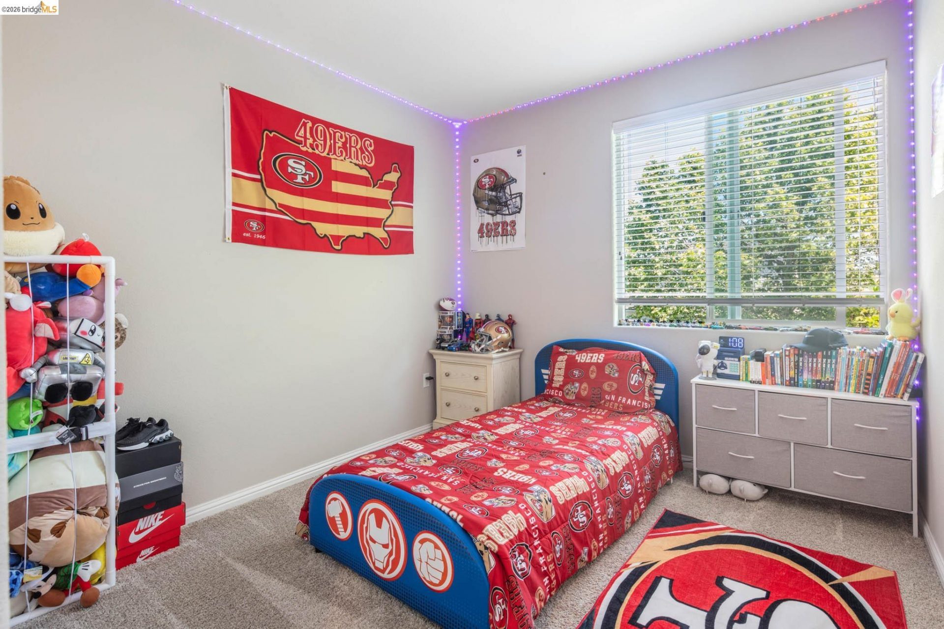 Property photo 44