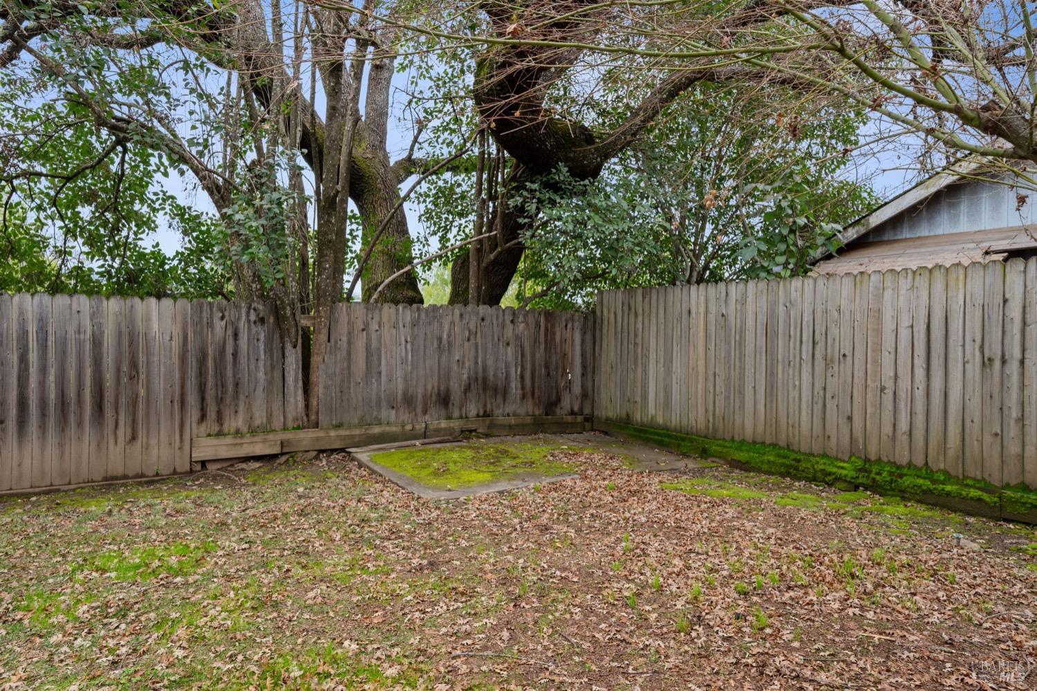 Property photo 45