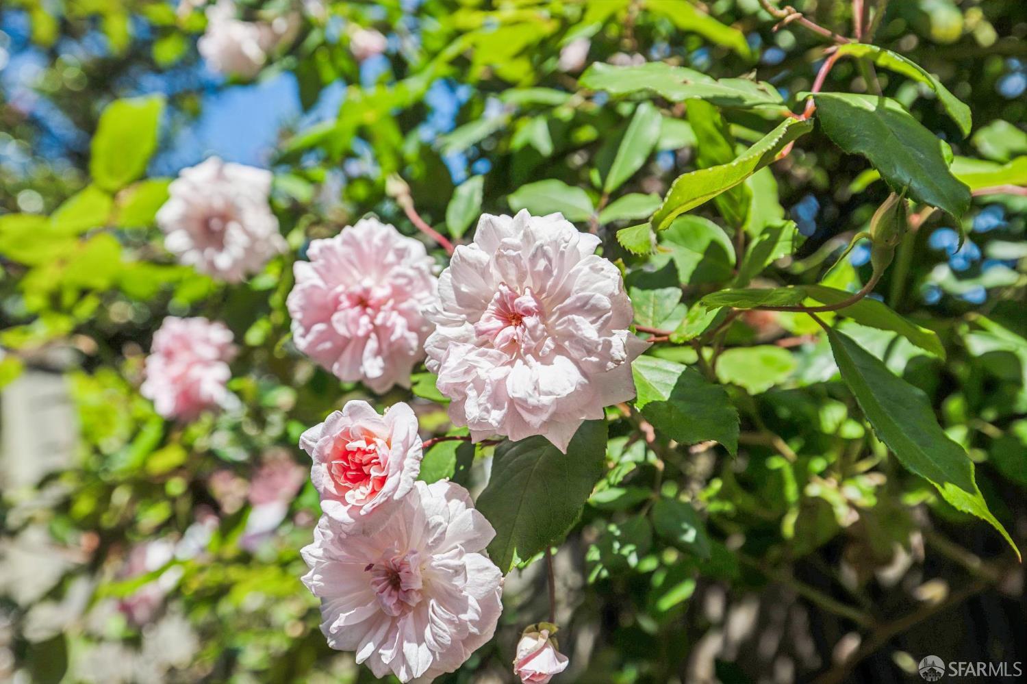 Property photo 42