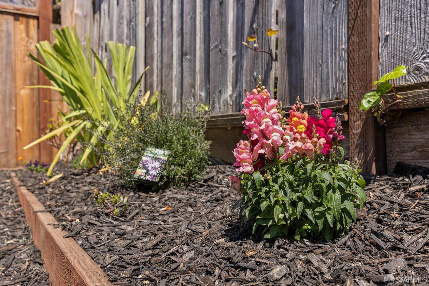Property photo 44