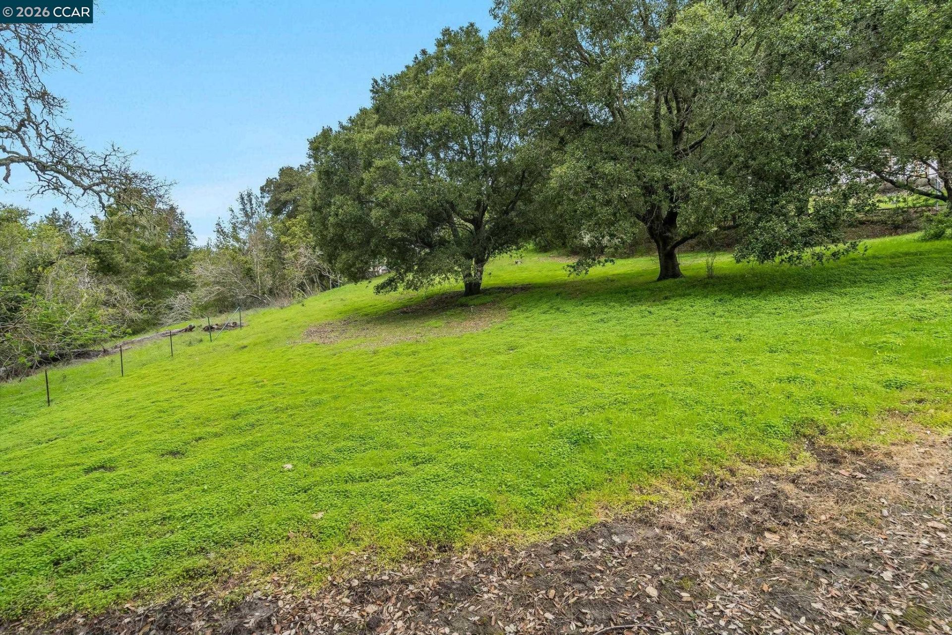 Property photo 19