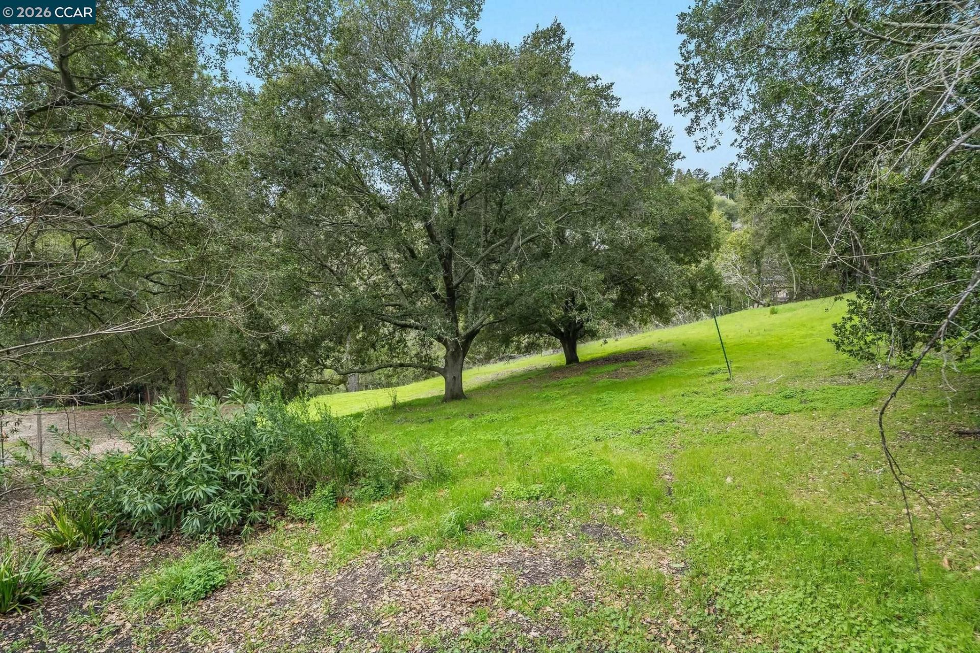 Property photo 21