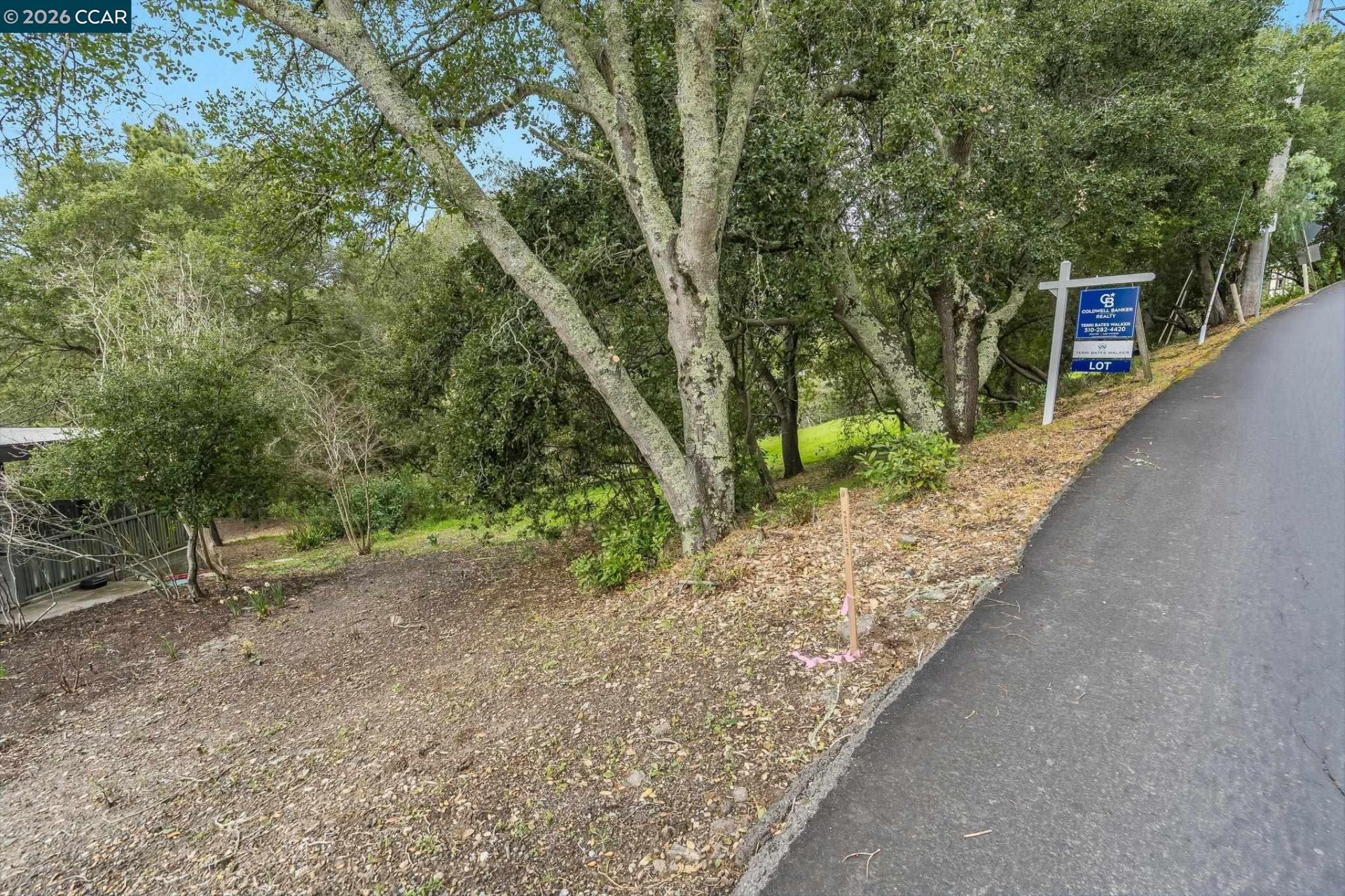 Property photo 23