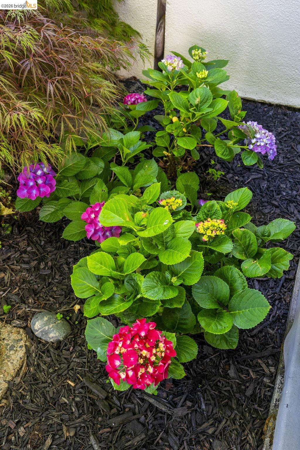 Property photo 36