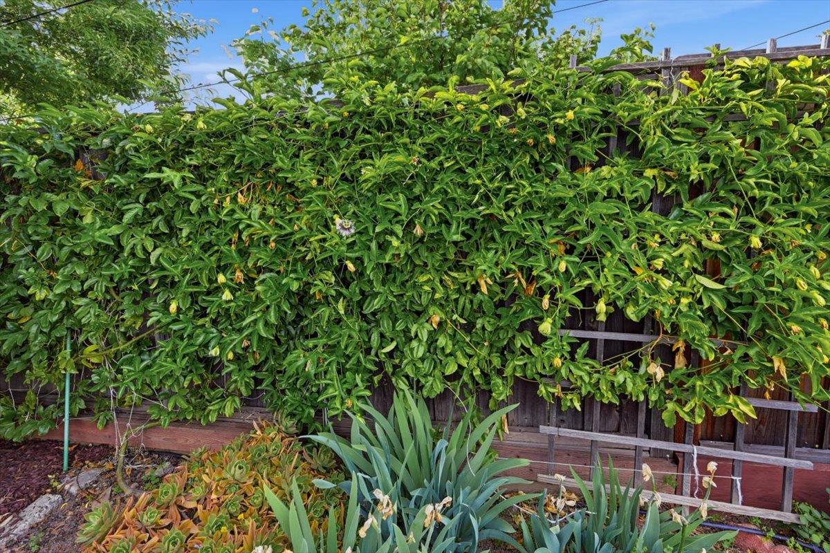 Property photo 26