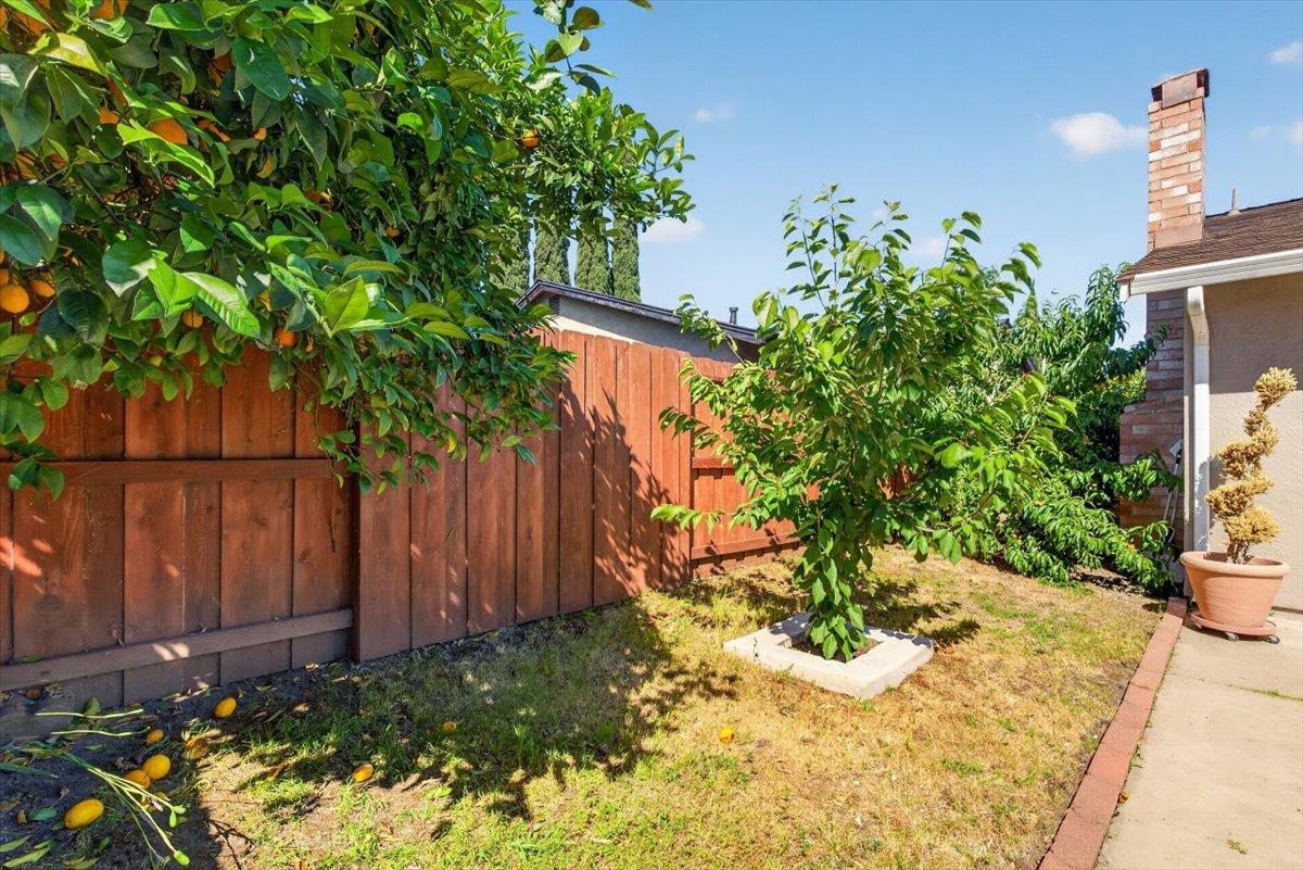 Property photo 42