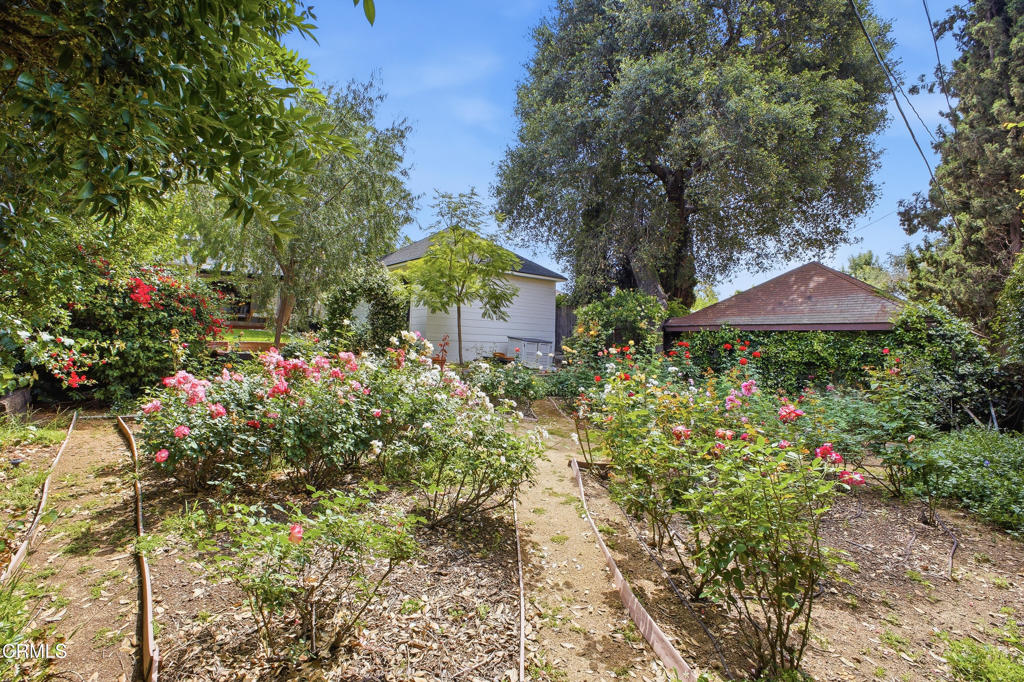 Property photo 41