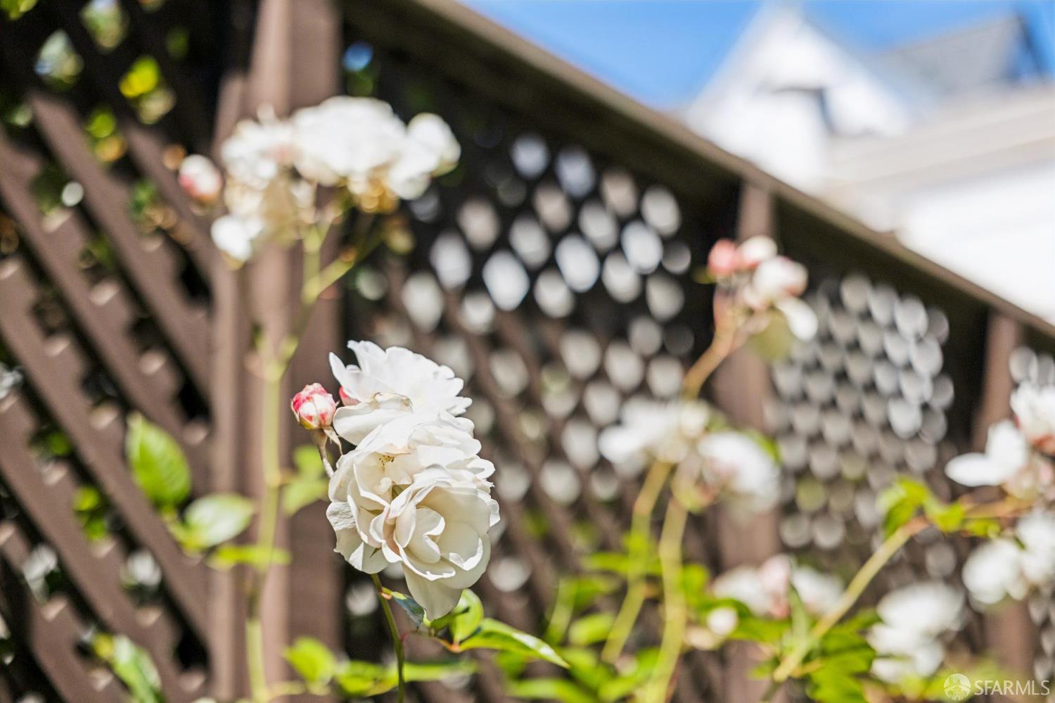 Property photo 42