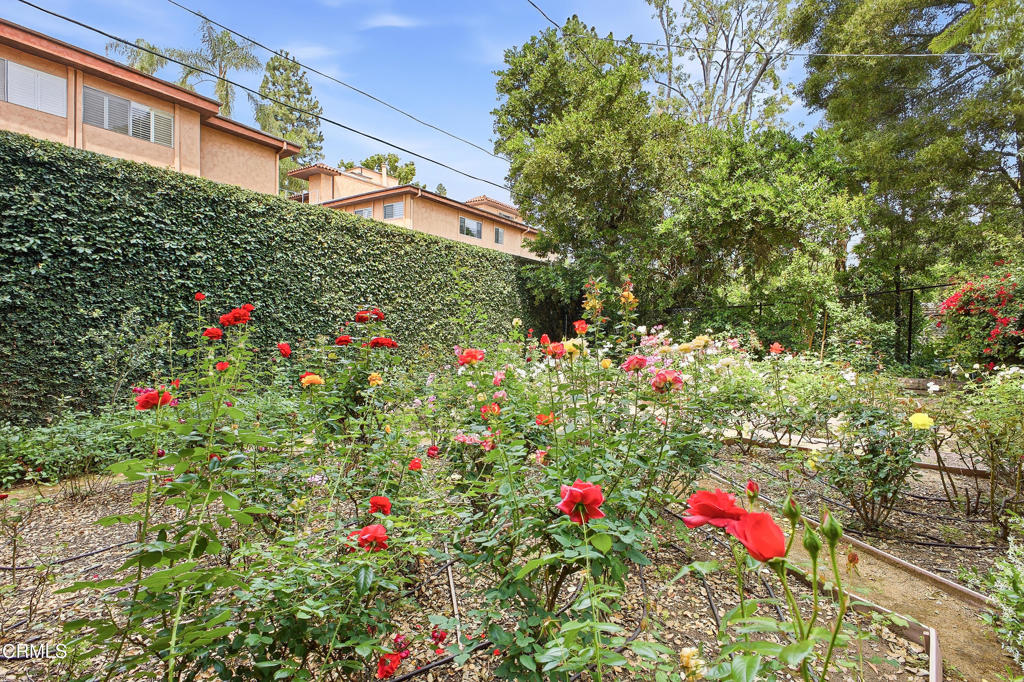 Property photo 42
