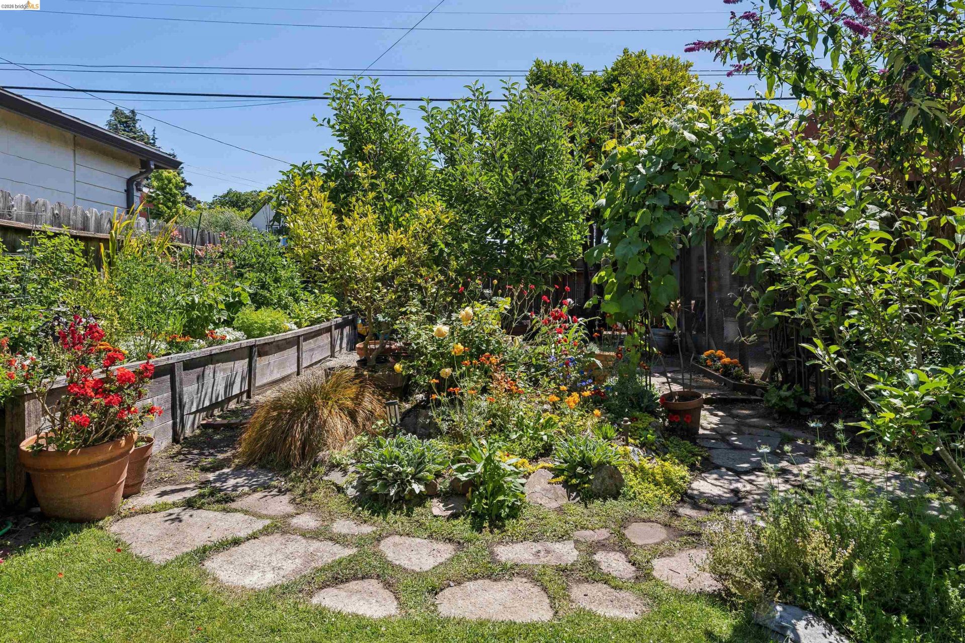 Property photo 39
