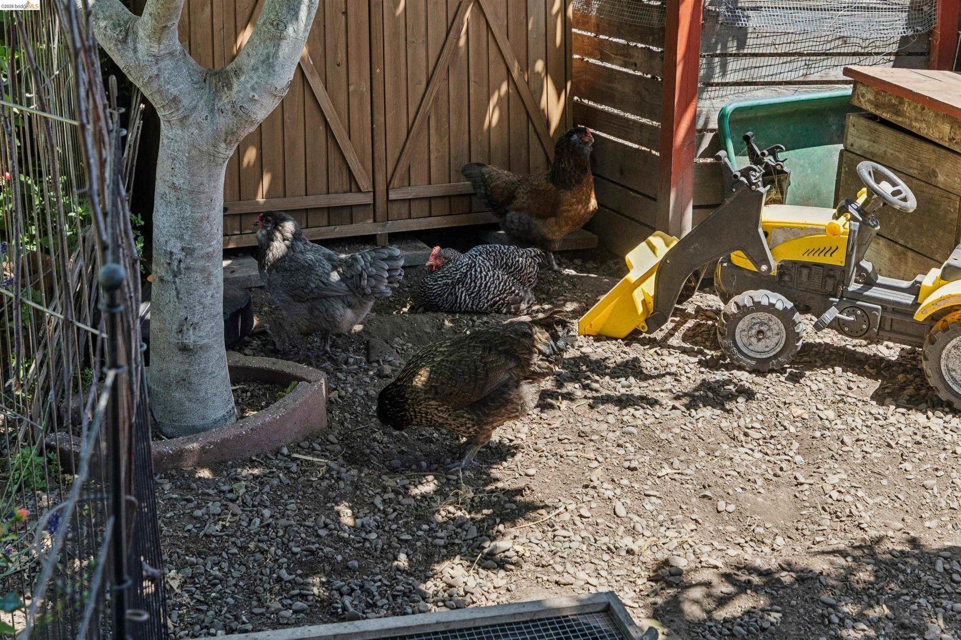 Property photo 44