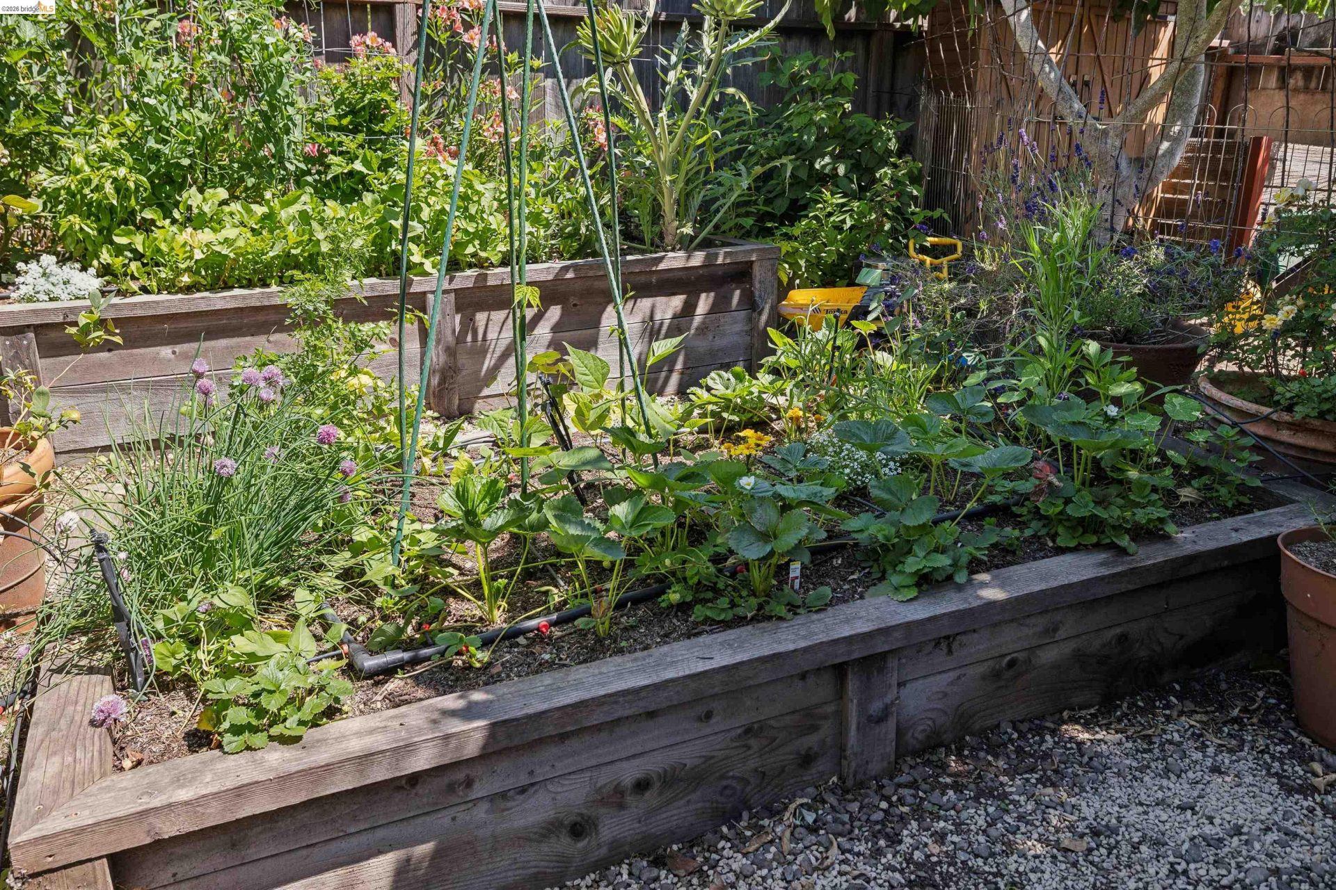 Property photo 45