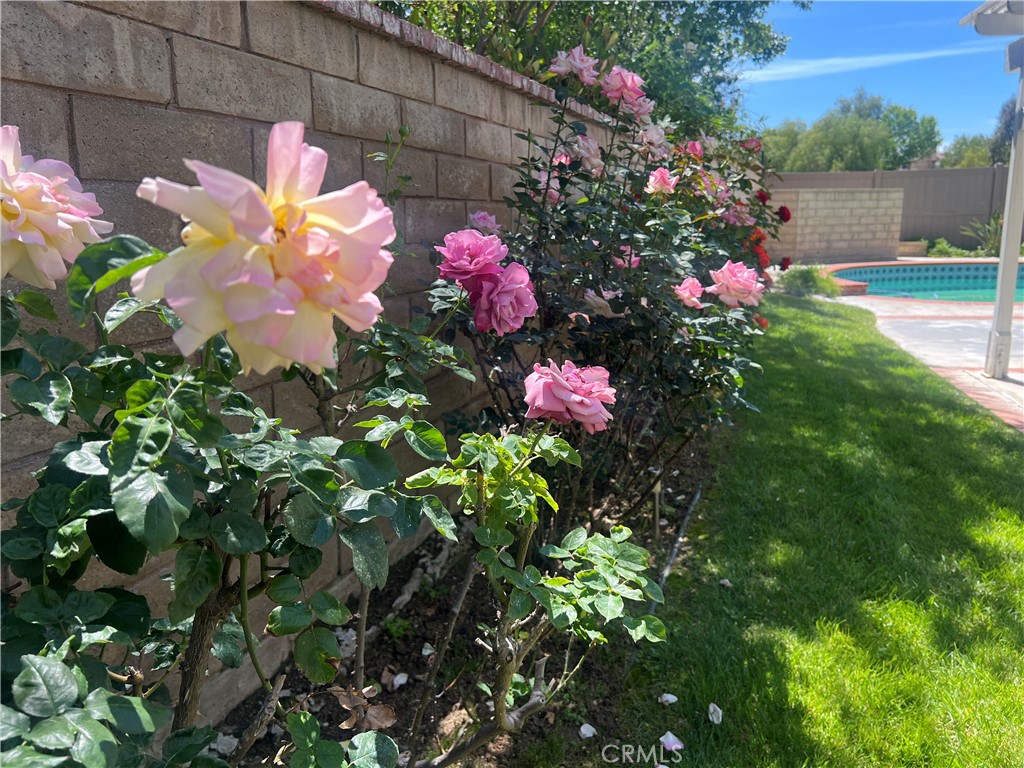 Property photo 39