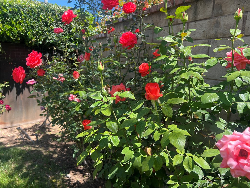 Property photo 41
