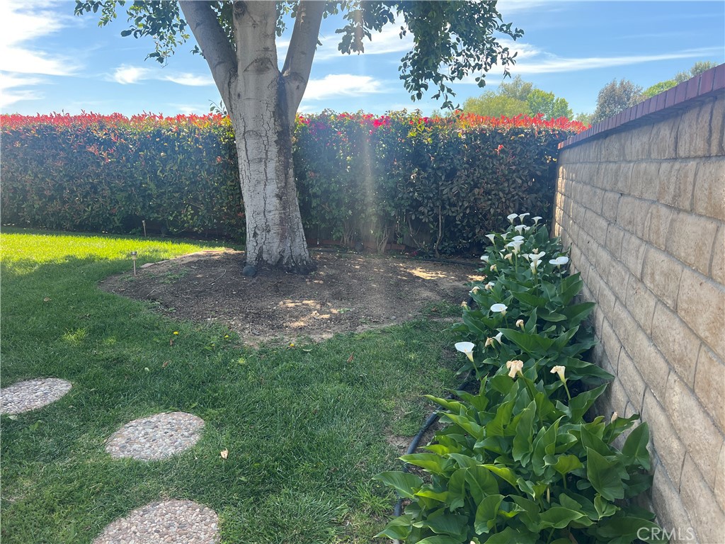 Property photo 43