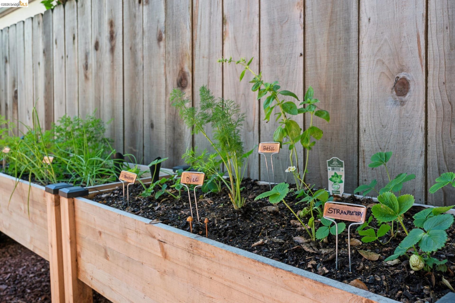 Property photo 44