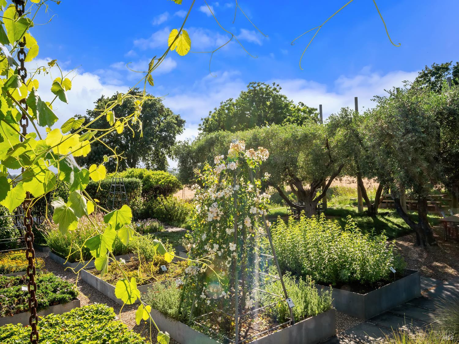 Property photo 42