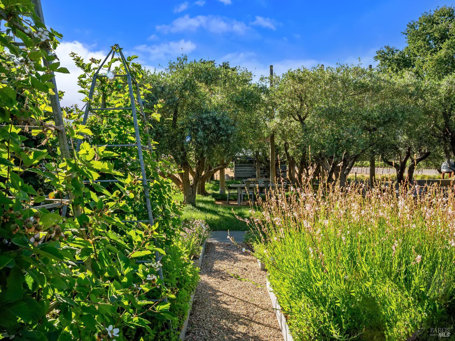 Property photo 47
