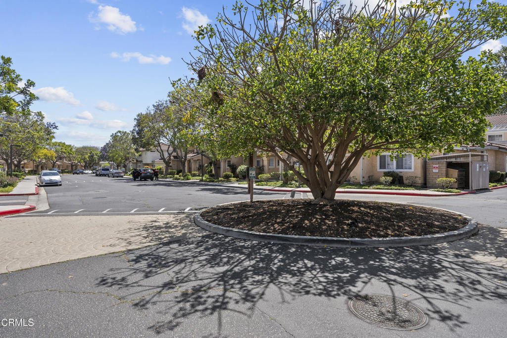 Property photo 40