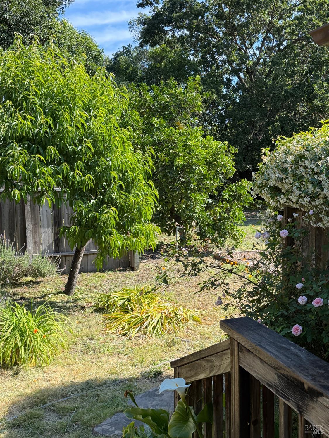 Property photo 24