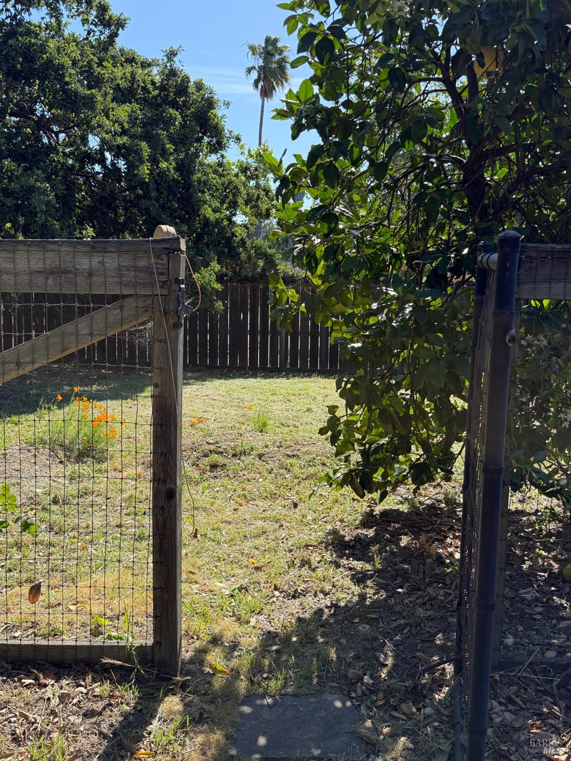 Property photo 29