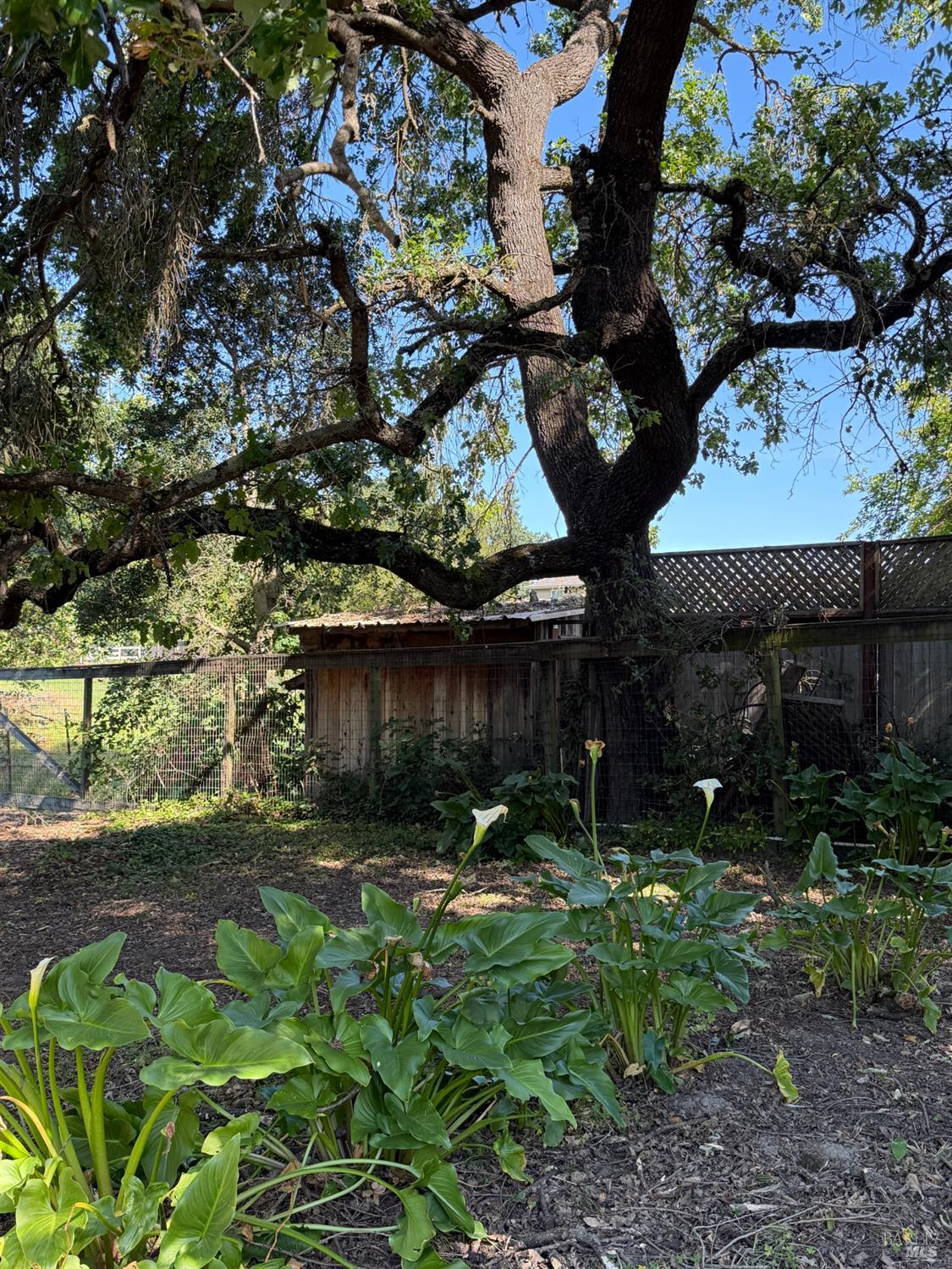 Property photo 30