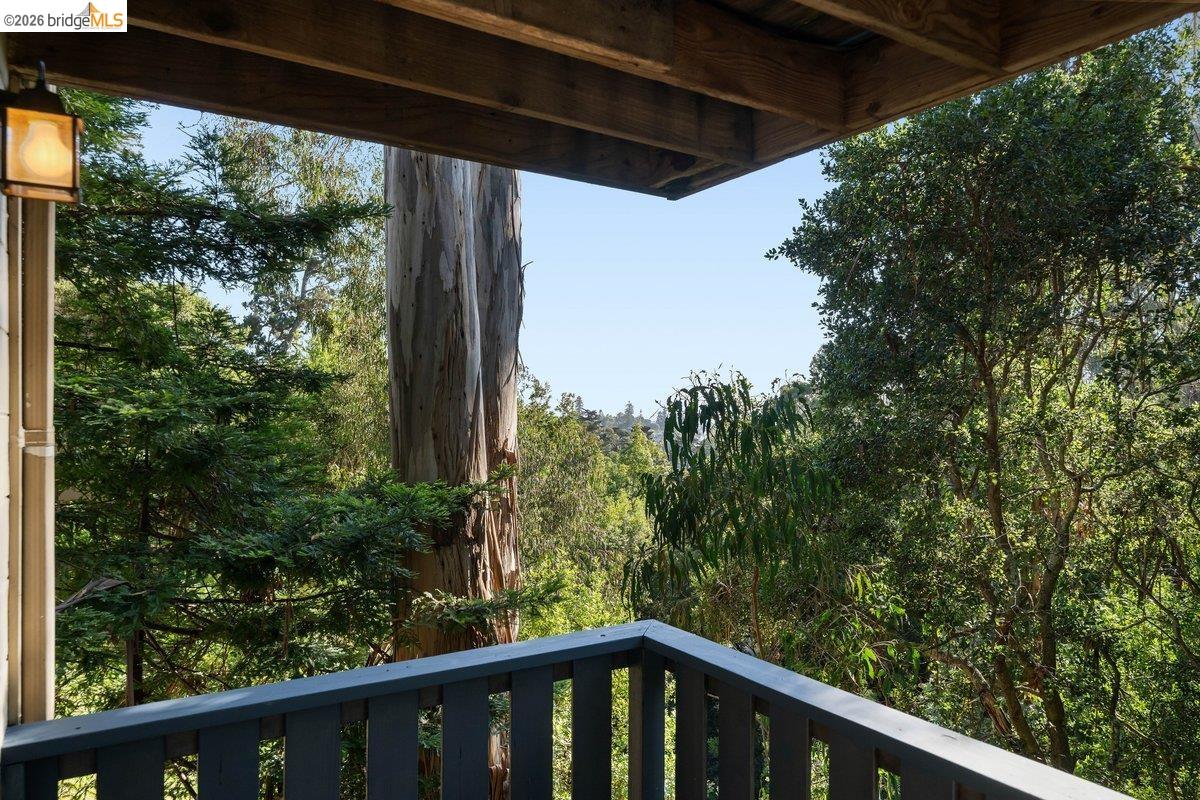 Property photo 51