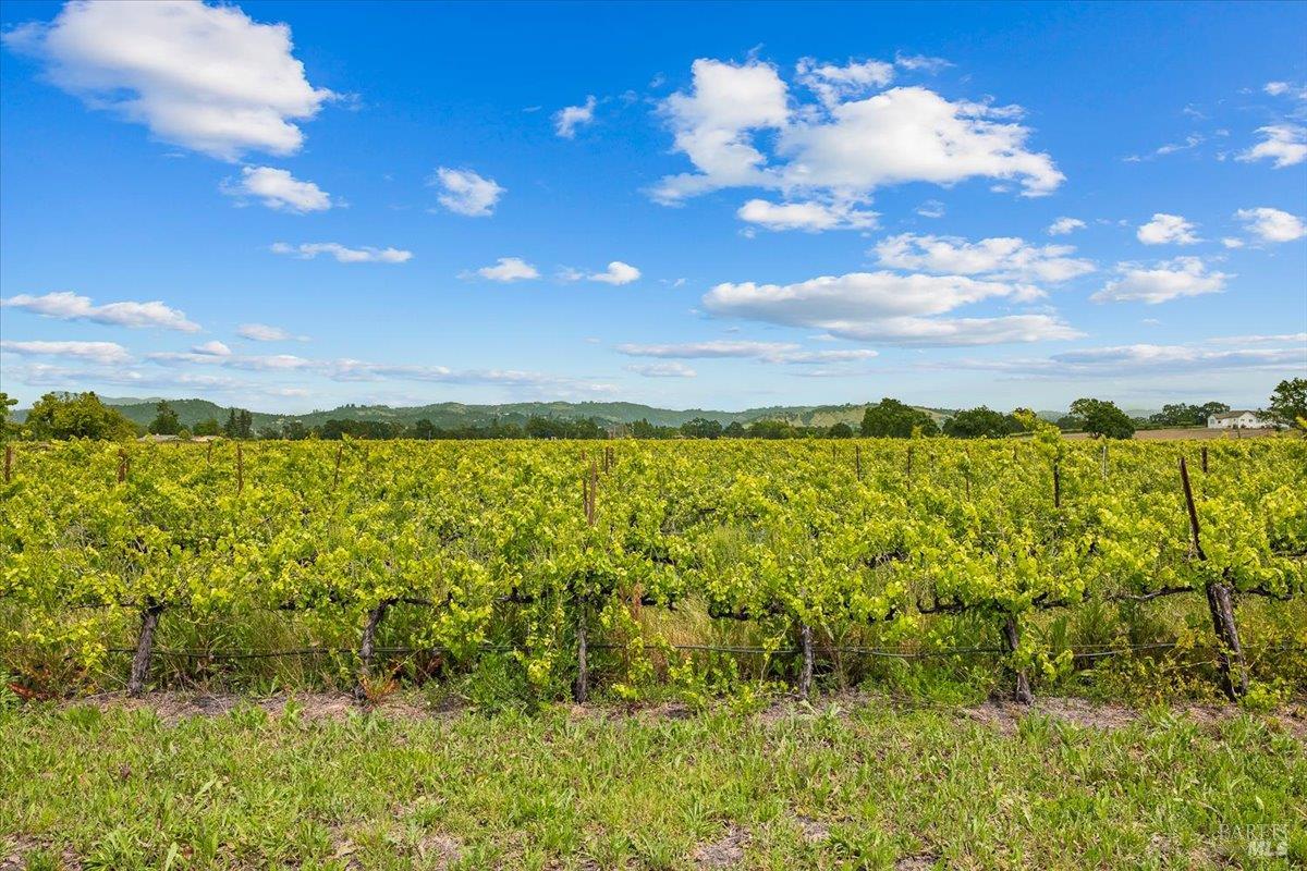 Property photo 44