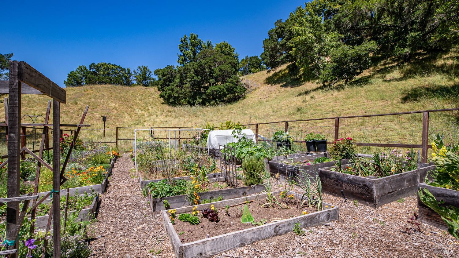 Property photo 51