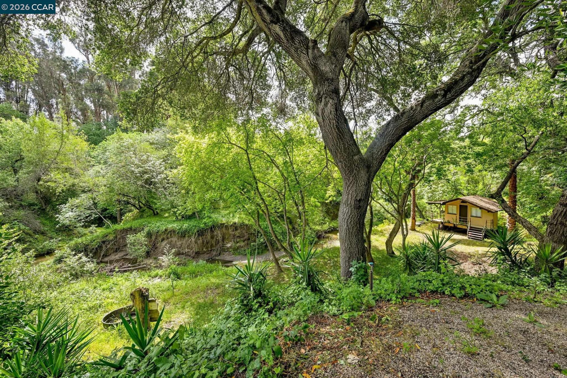 Property photo 46