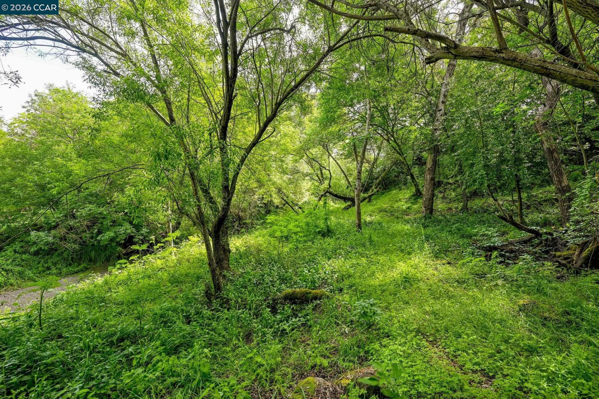 Property photo 49