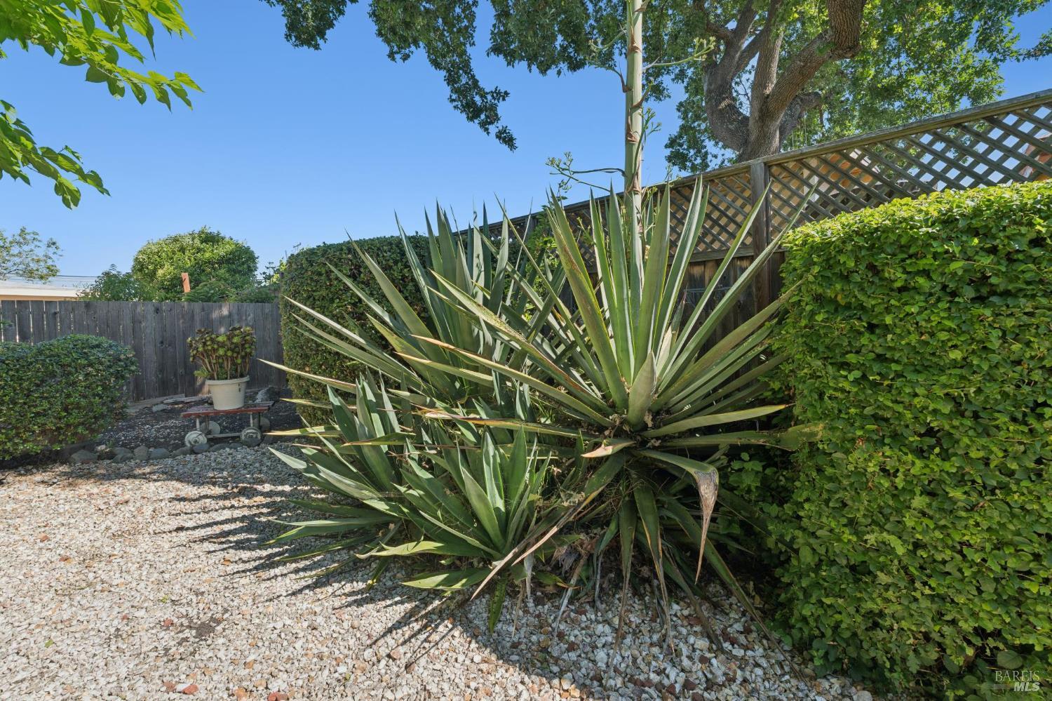 Property photo 31