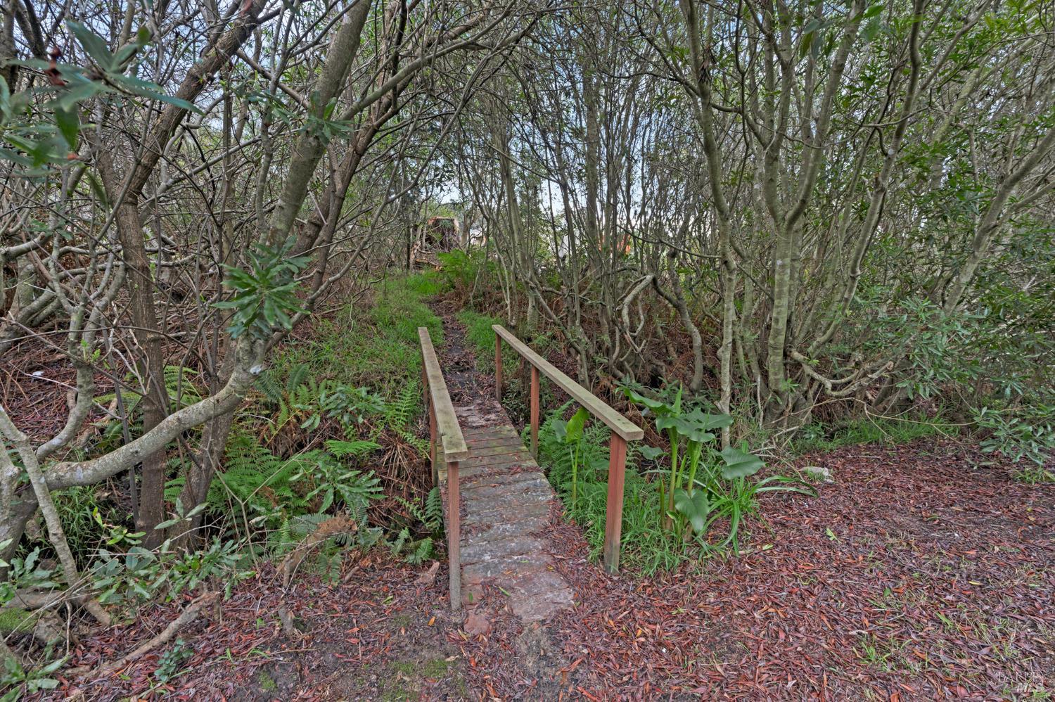 Property photo 44