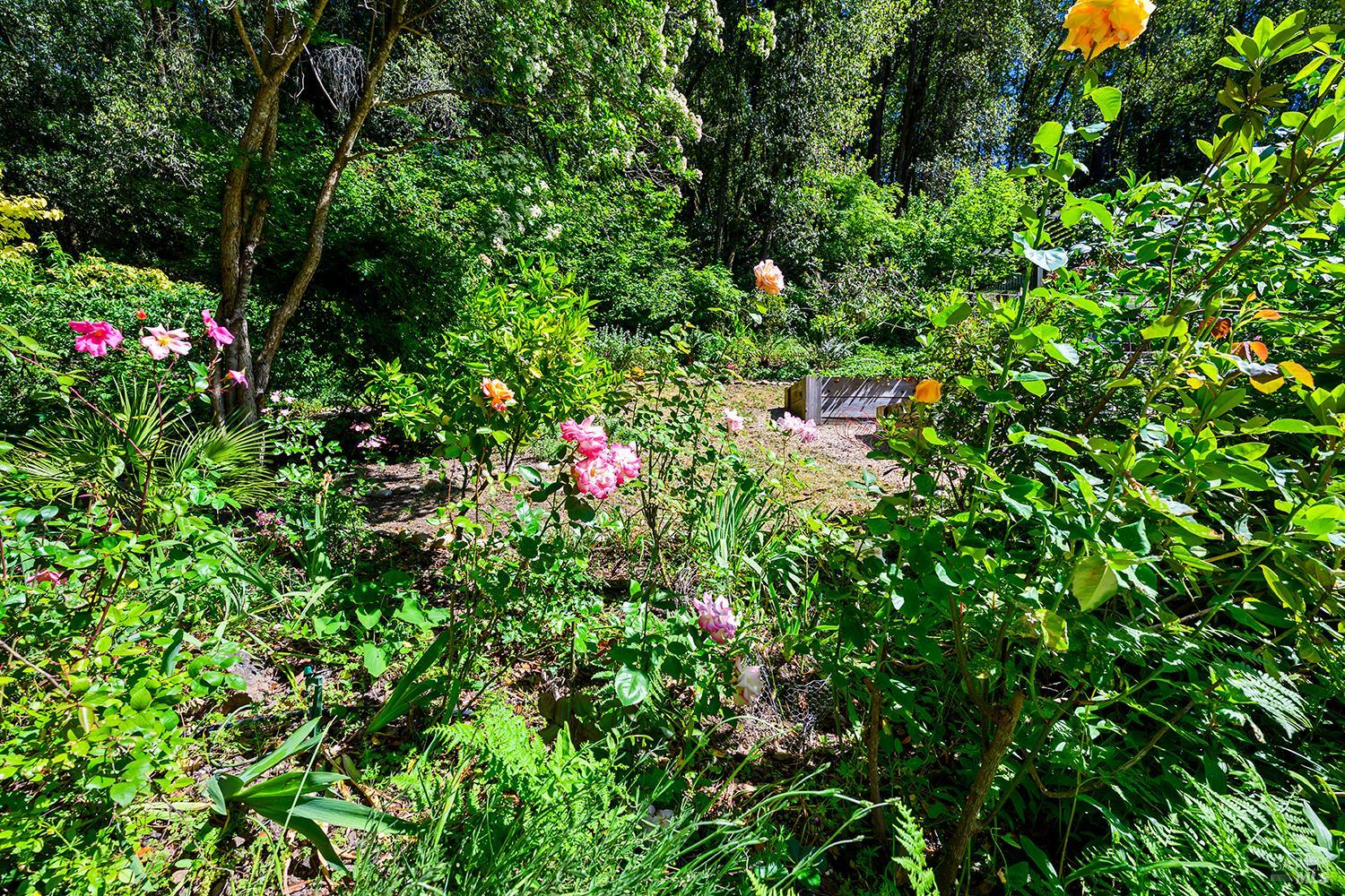 Property photo 36