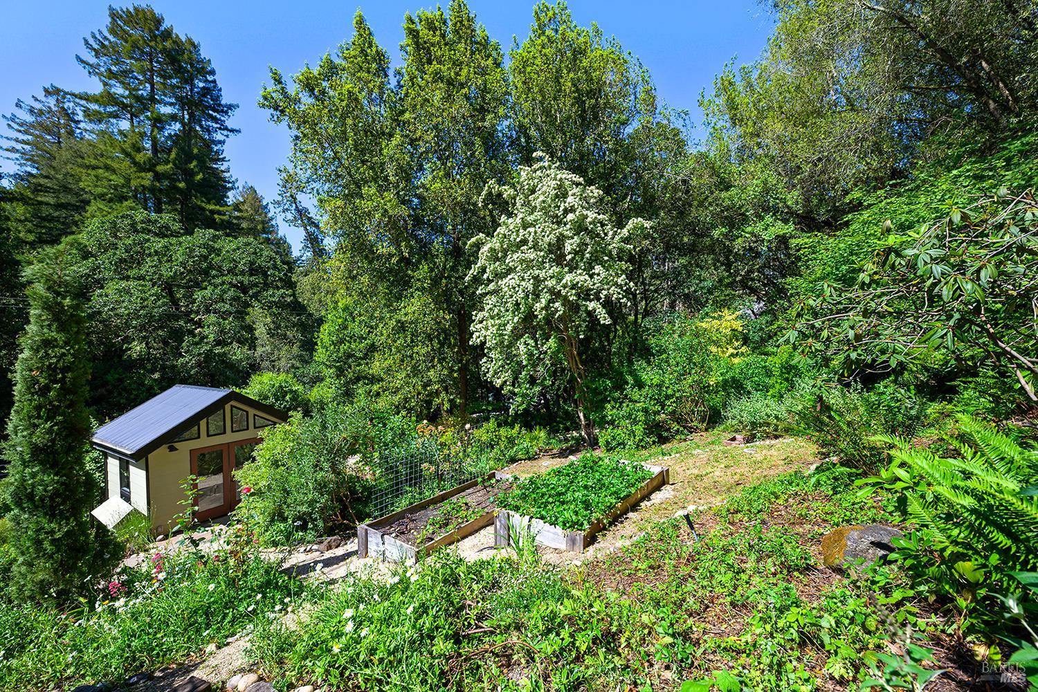 Property photo 49