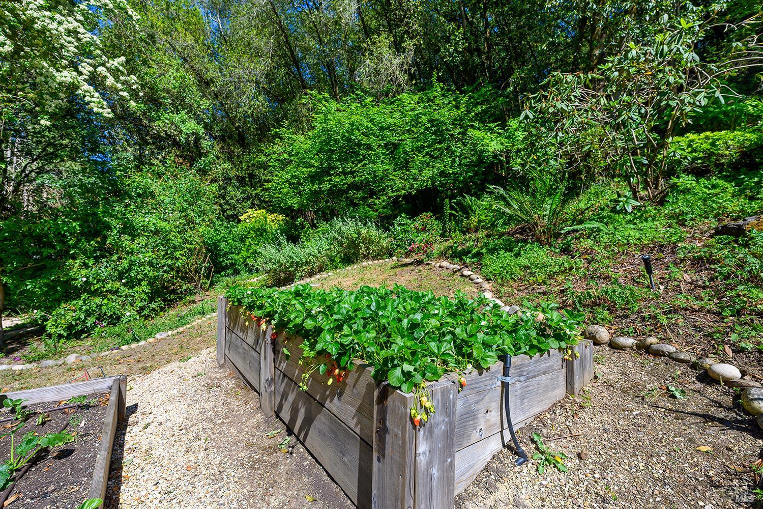 Property photo 50