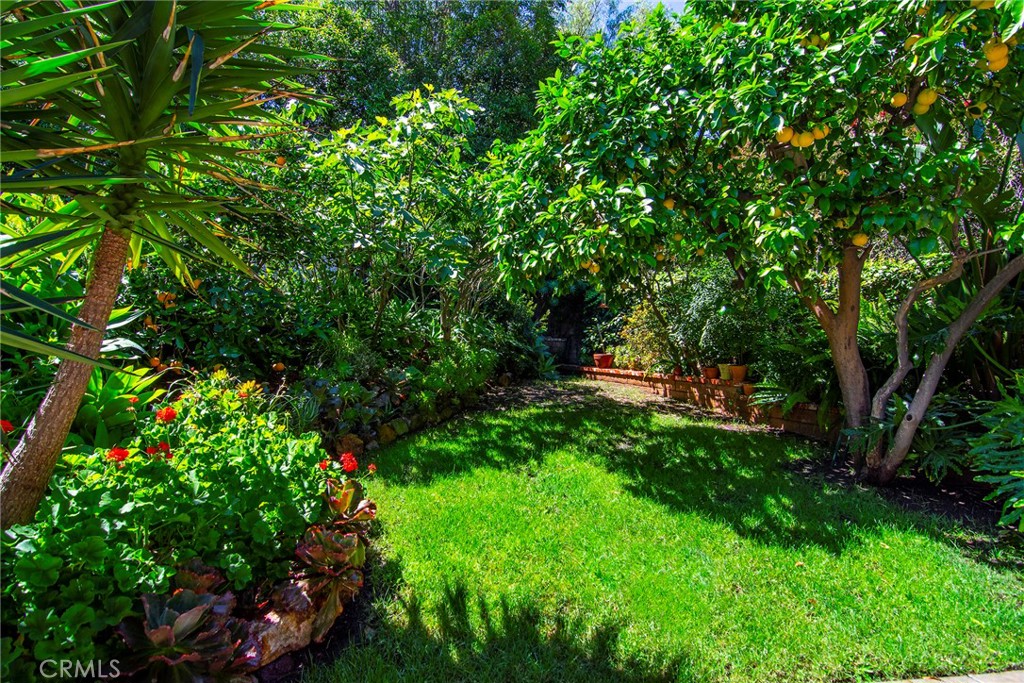 Property photo 48