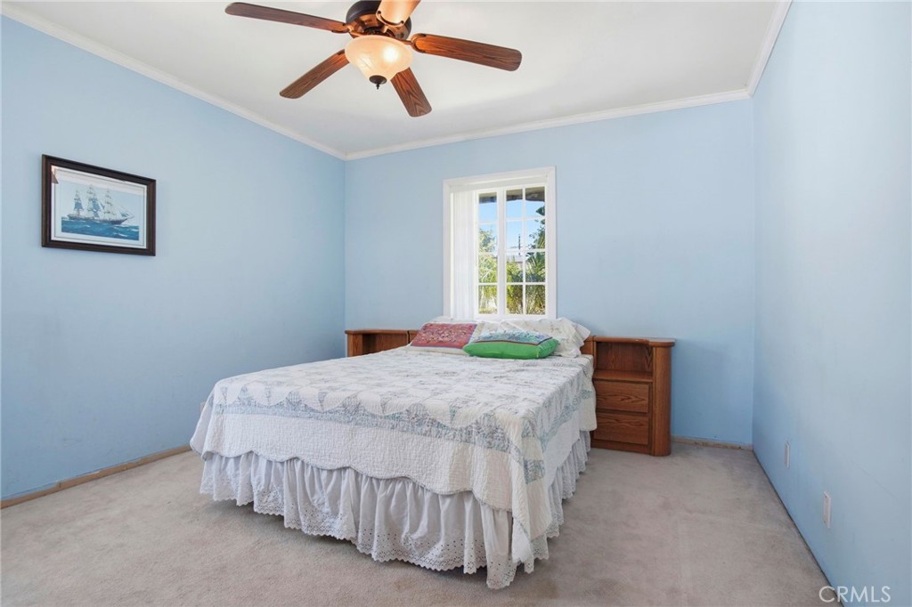 Property photo 51