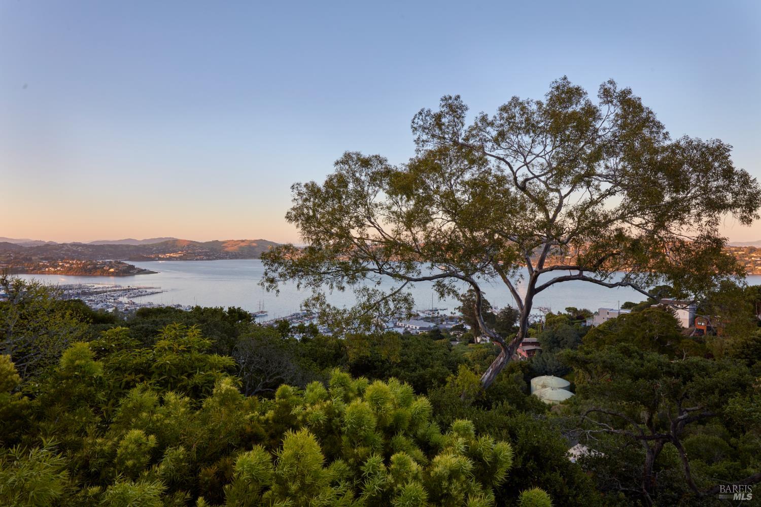 Property photo 49