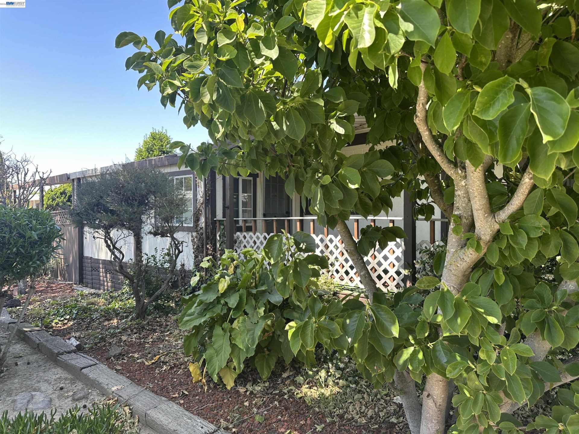 Property photo 35