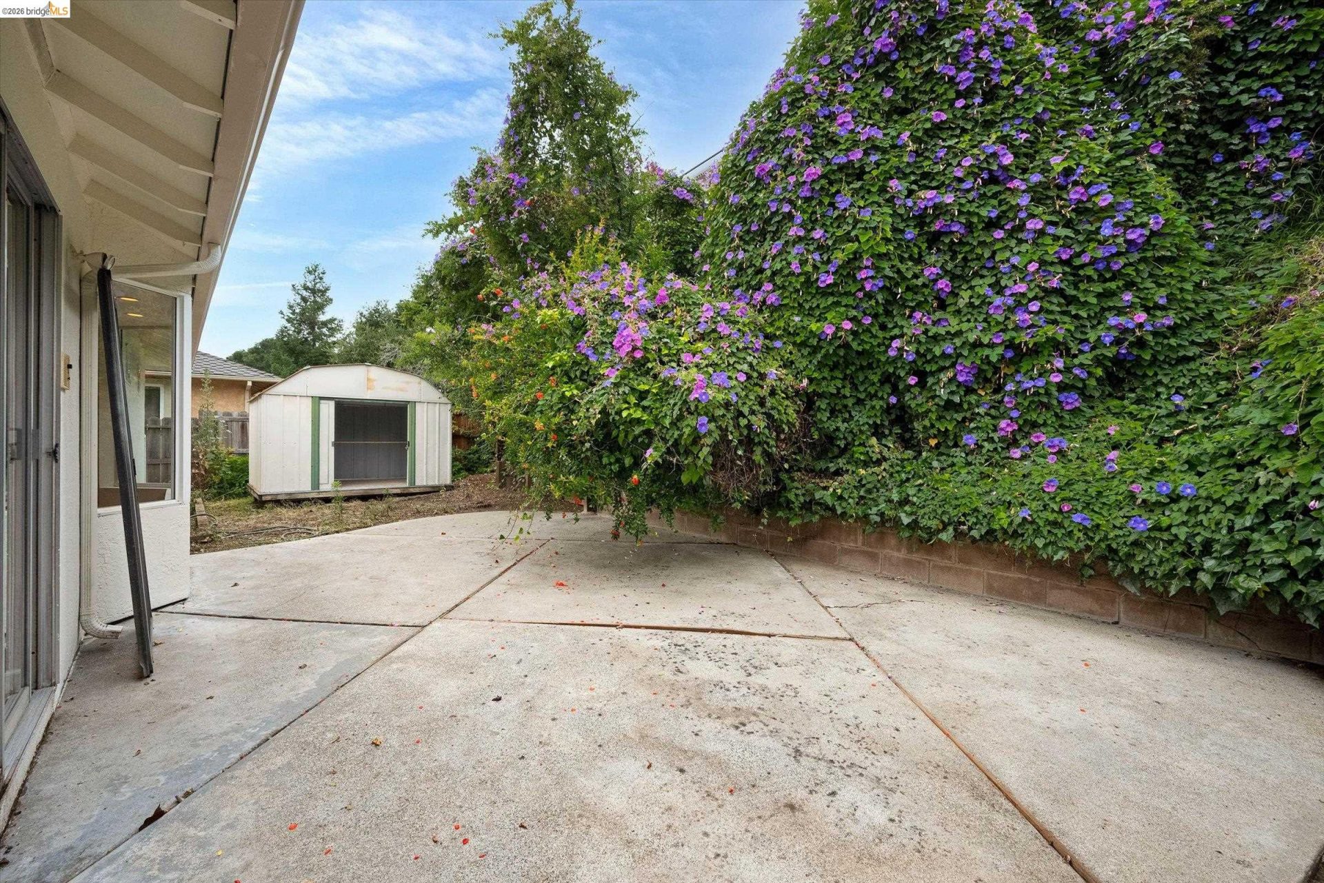 Property photo 34