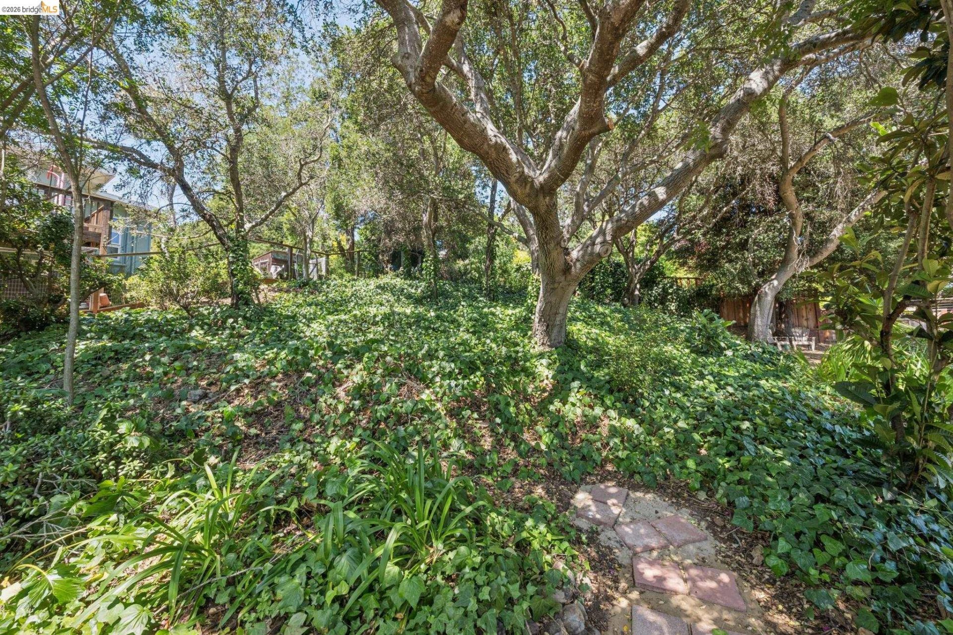 Property photo 45
