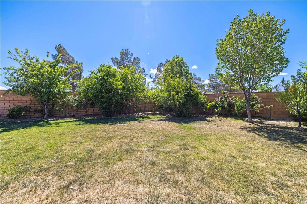 Property photo 51
