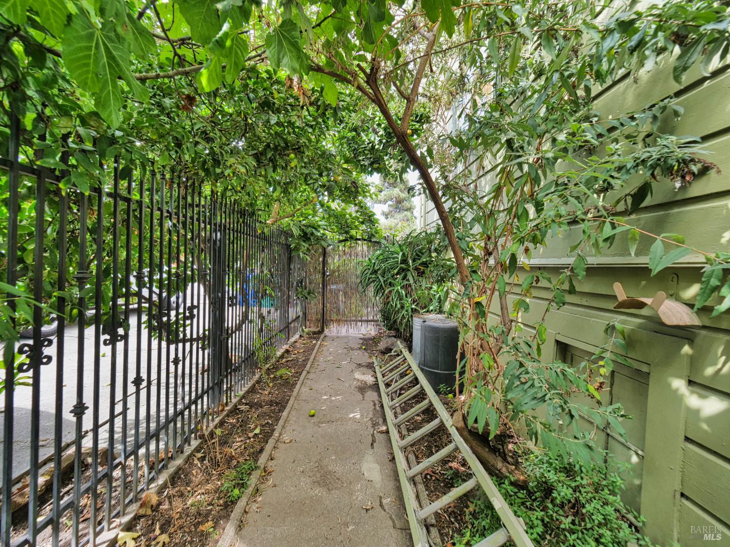Image 4