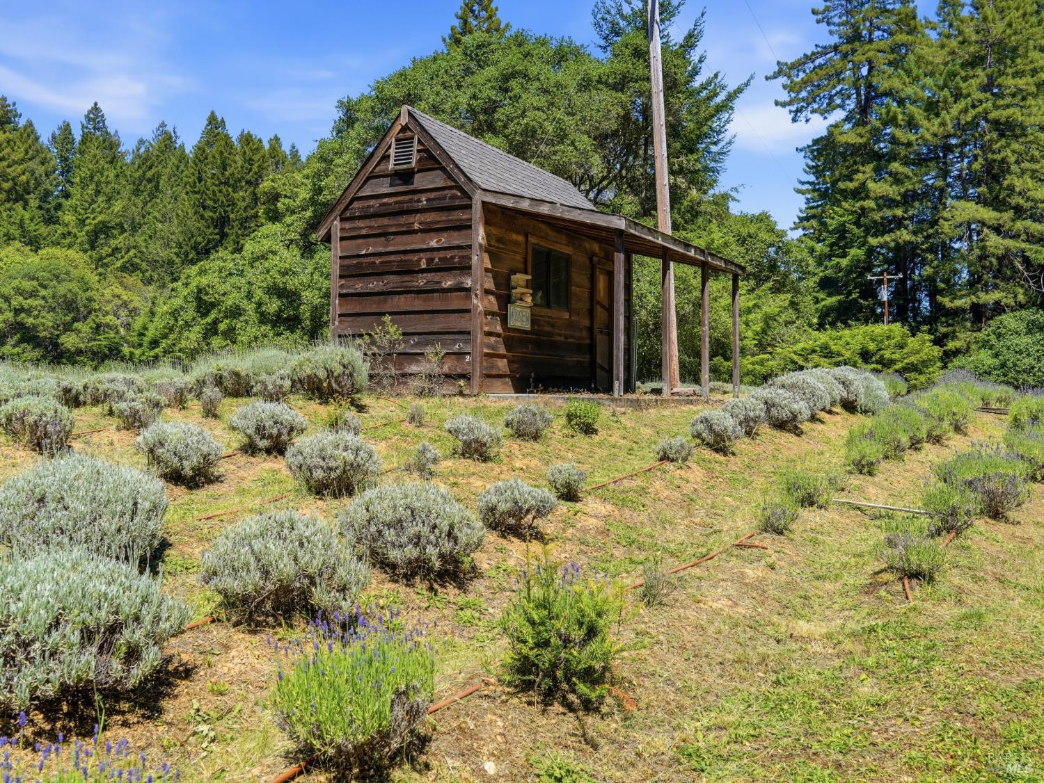 Property photo 46