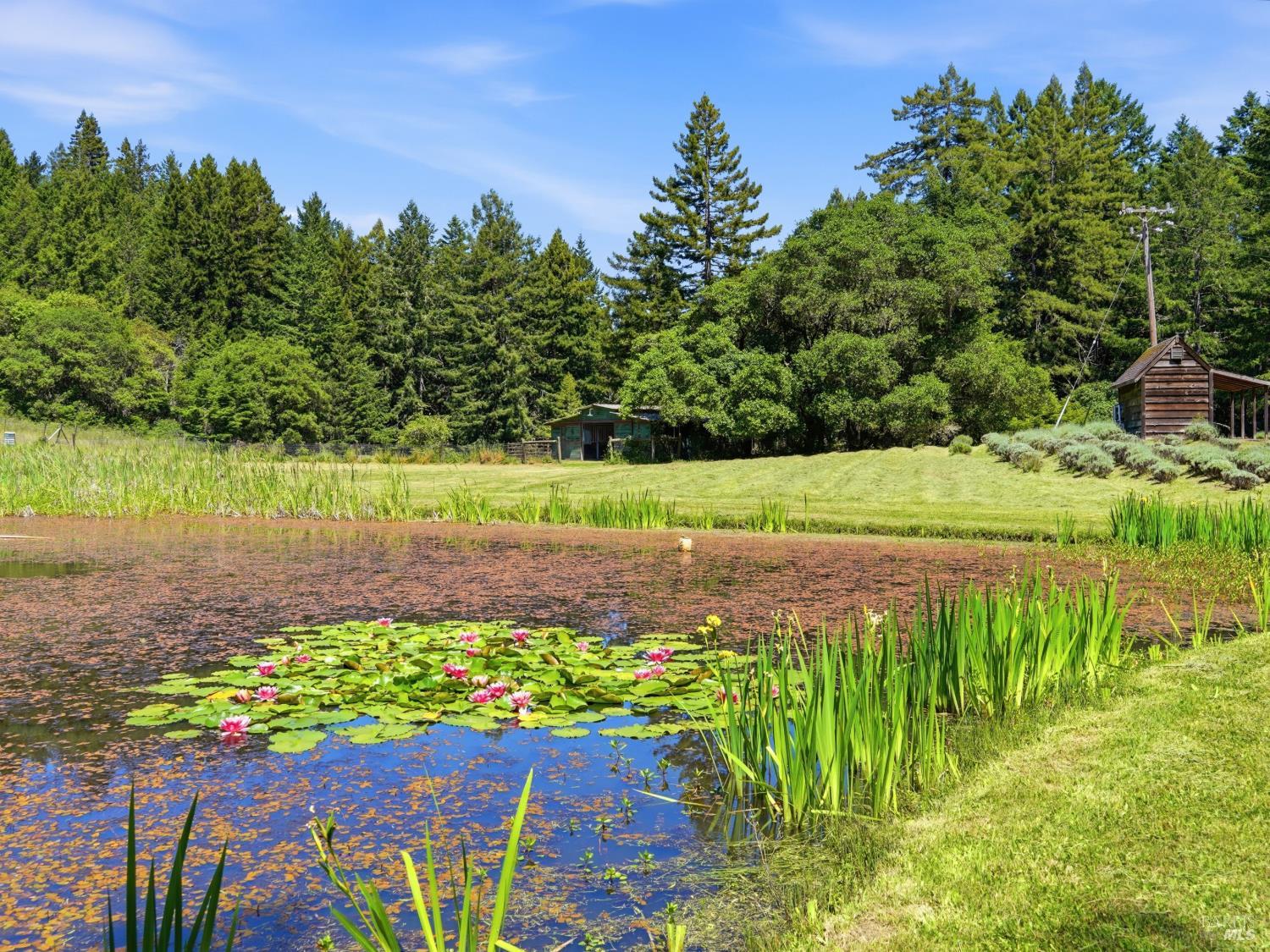 Property photo 47