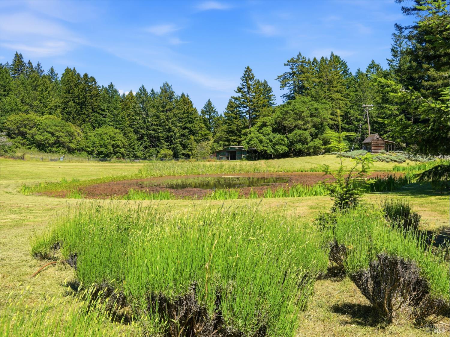Property photo 48