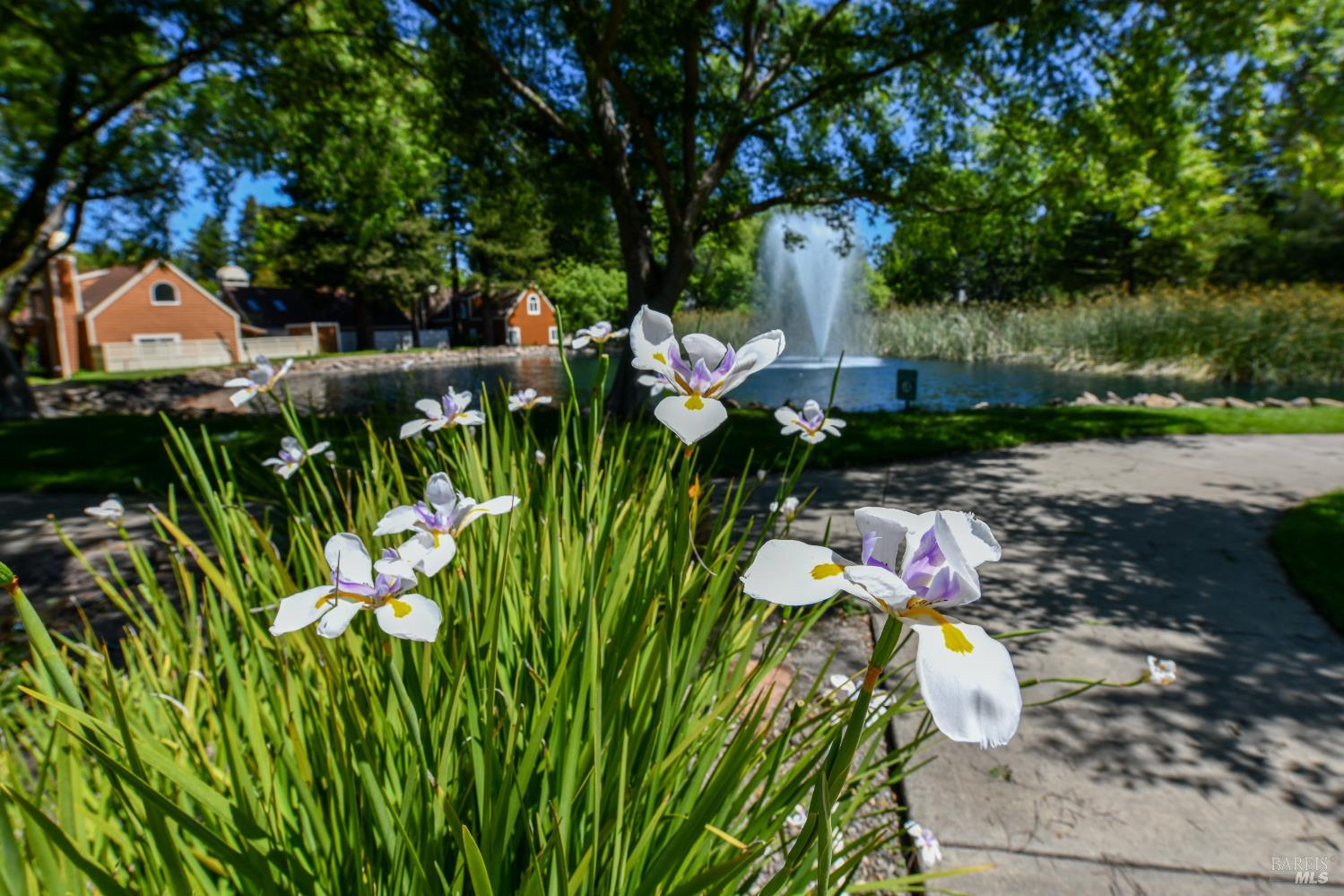Property photo 41