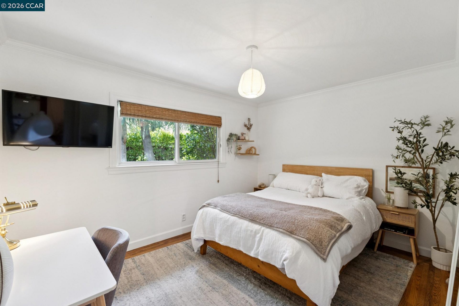Property photo 44