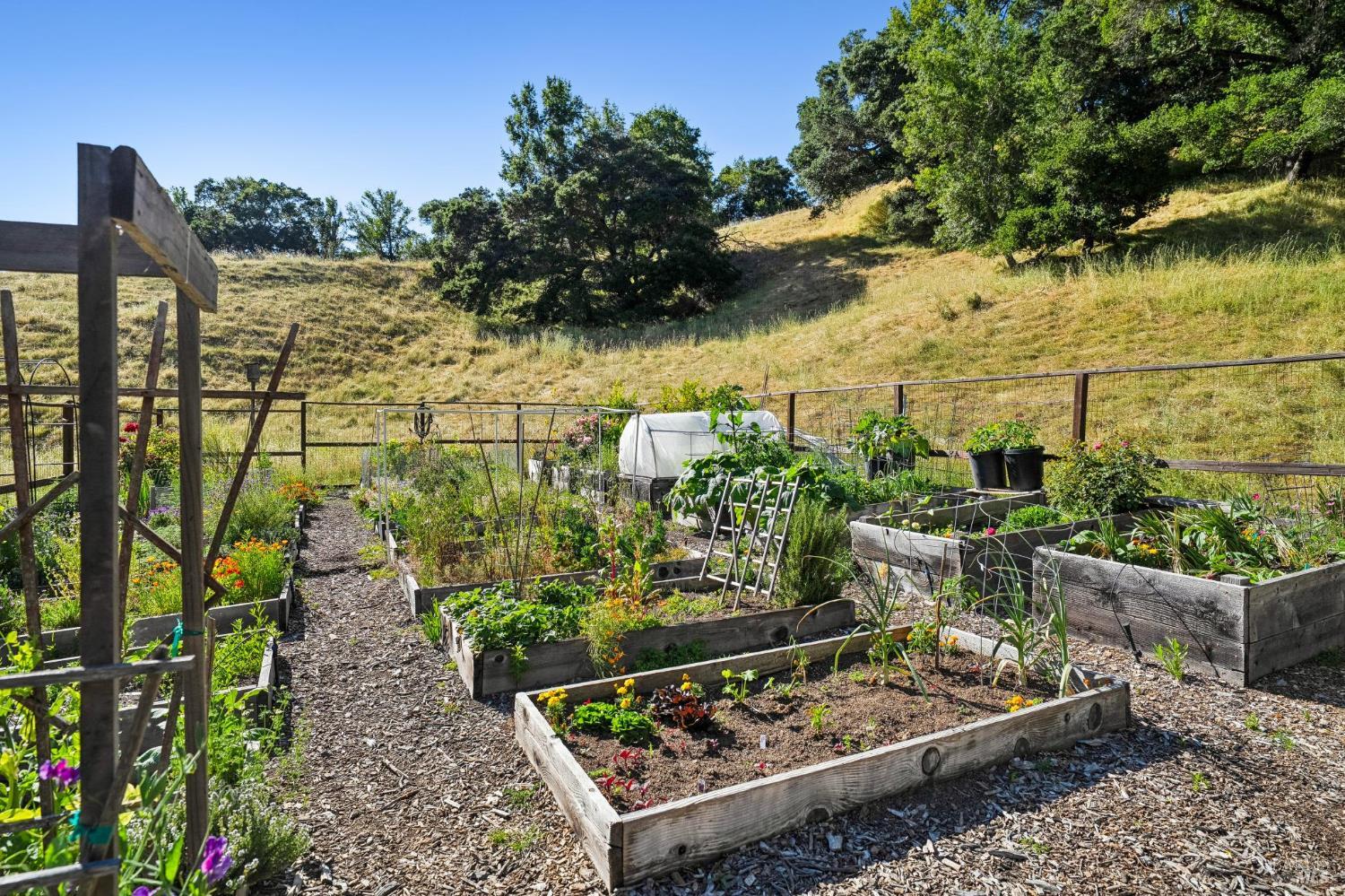 Property photo 43